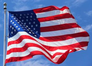 USA CARDS WITH BALANCE OF $1.000 TO $5.000 [WORLD ELITE]